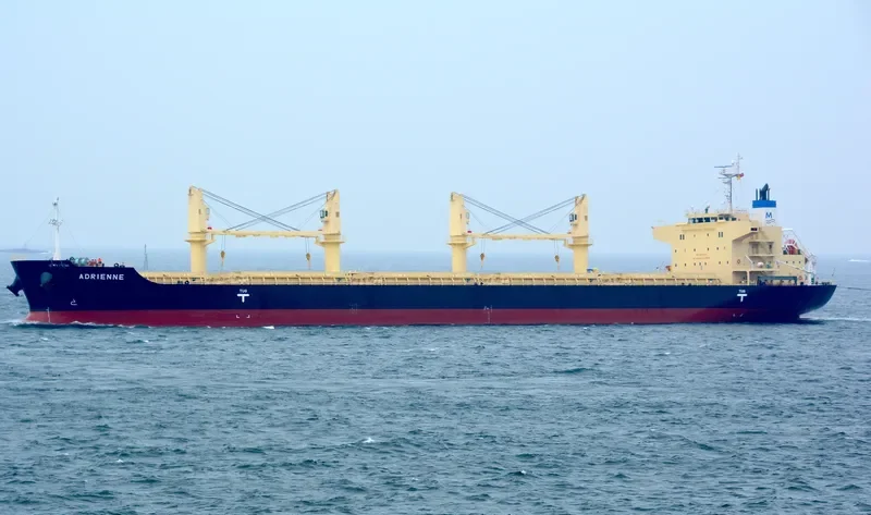 ADRIENNE Bulk Carrier IMO 9832509 photo 16