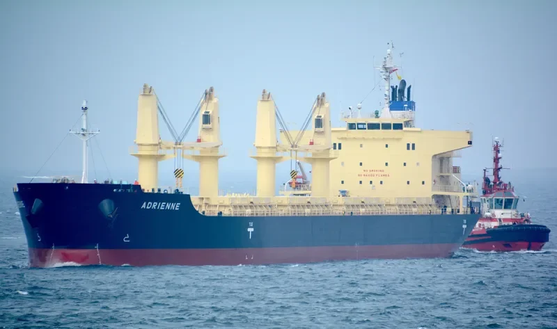 ADRIENNE Bulk Carrier IMO 9832509 photo 18