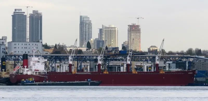 AL WATHBA Bulk Carrier IMO 9852743 photo 3