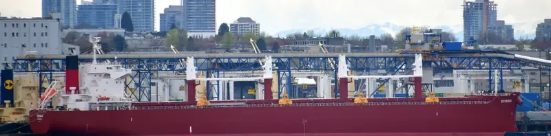 AL WATHBA Bulk Carrier IMO 9852743 photo 9