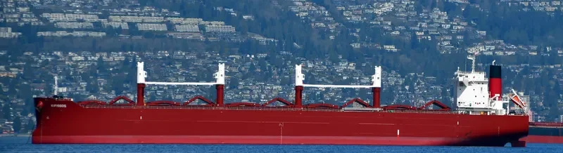 AL WATHBA Bulk Carrier IMO 9852743 photo 14