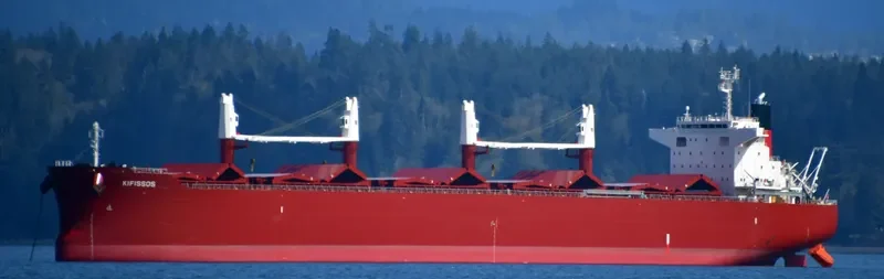 AL WATHBA Bulk Carrier IMO 9852743 photo 20