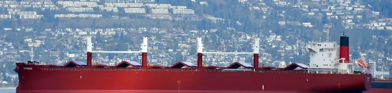 AL WATHBA Bulk Carrier IMO 9852743 photo 26