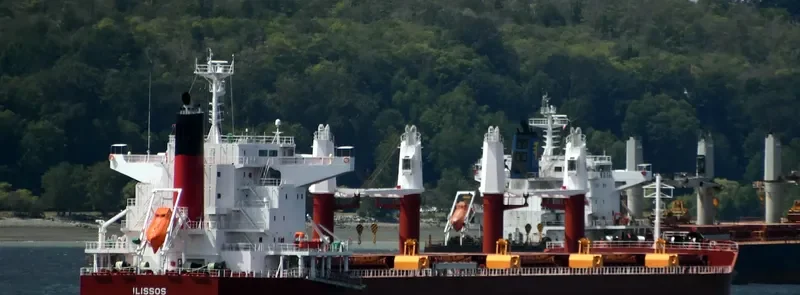 AL DHAFRA Bulk Carrier IMO 9852767 photo 7