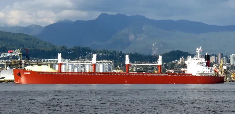 AL DHAFRA Bulk Carrier IMO 9852767 photo 16