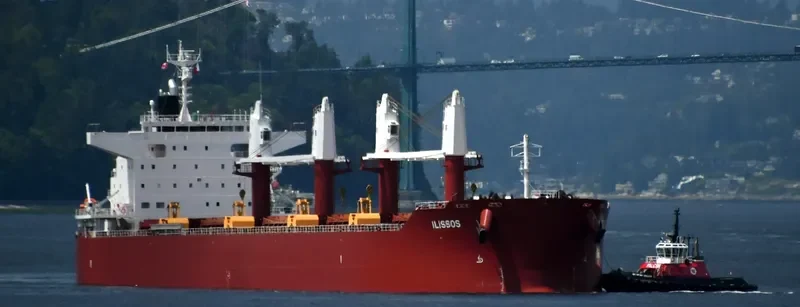 AL DHAFRA Bulk Carrier IMO 9852767 photo 18