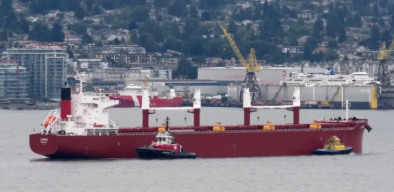 AL DHAFRA Bulk Carrier IMO 9852767 photo 50