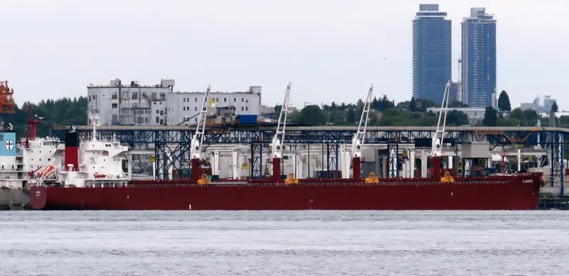 AL DHAFRA Bulk Carrier IMO 9852767 photo 59