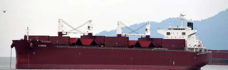 AL DHAFRA Bulk Carrier IMO 9852767 photo 63