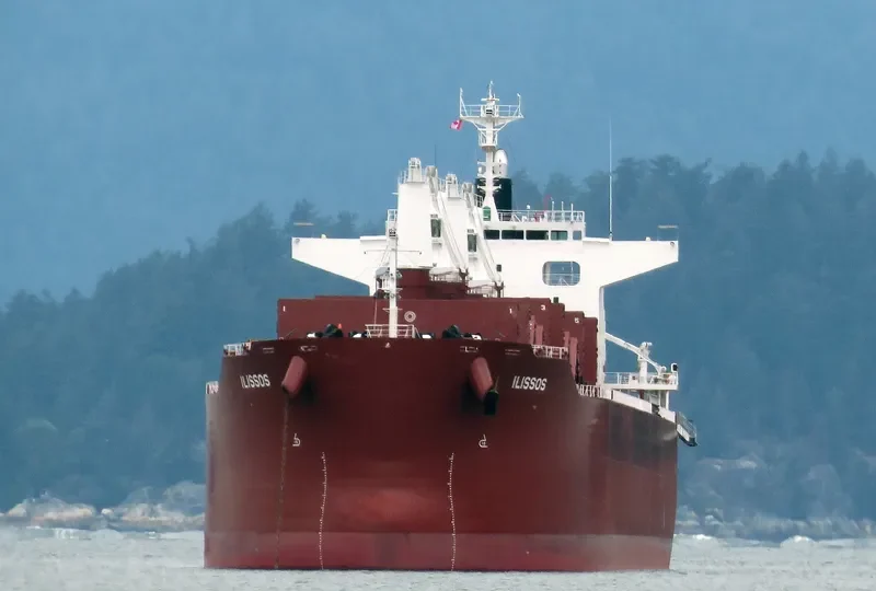 AL DHAFRA Bulk Carrier IMO 9852767 photo 66