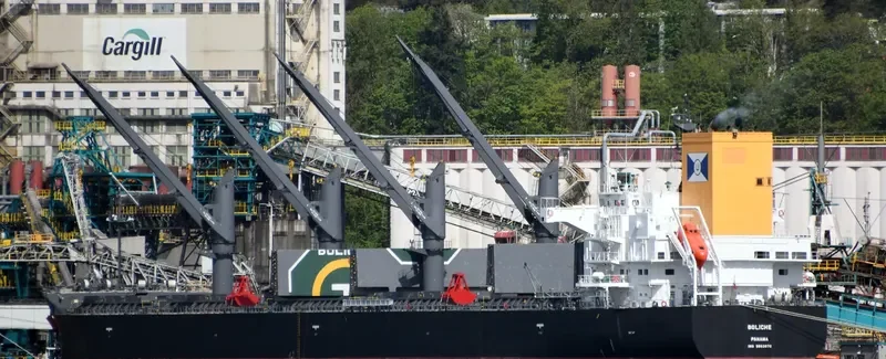 BOLICHE Bulk Carrier IMO 9853072 photo 2