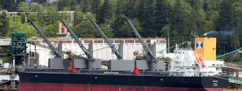 BOLICHE Bulk Carrier IMO 9853072 photo 3