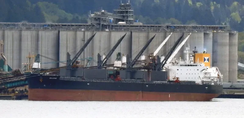 BOLICHE Bulk Carrier IMO 9853072 photo 4