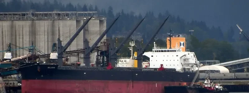 BOLICHE Bulk Carrier IMO 9853072 photo 5