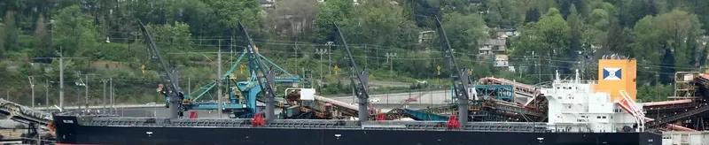 BOLICHE Bulk Carrier IMO 9853072 photo 6