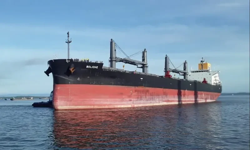 BOLICHE Bulk Carrier IMO 9853072 photo 7