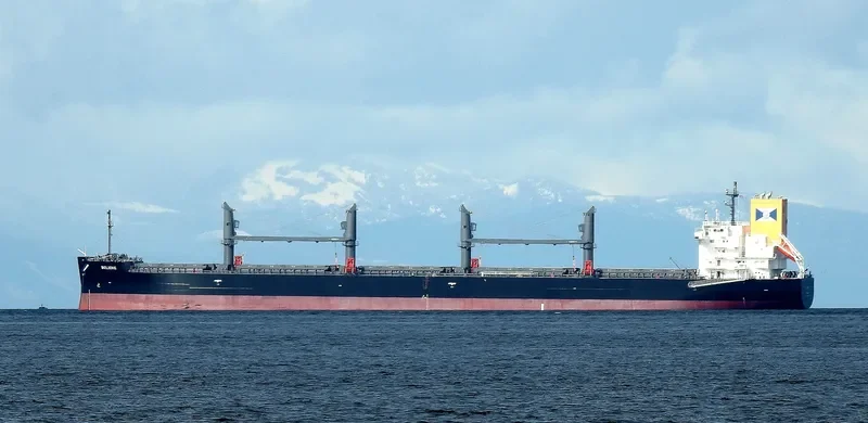 BOLICHE Bulk Carrier IMO 9853072 photo 10
